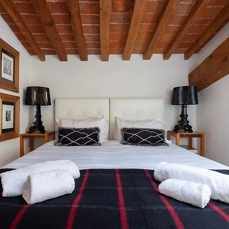 Elegant Dome In The Heart Of